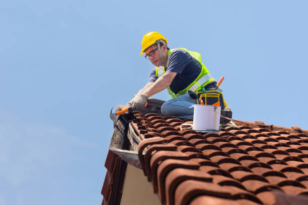 Best Steel Roofing  in Lexington, NE